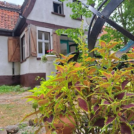 Bed and Breakfast Dom Na Mazurach Pilec Екстер'єр фото