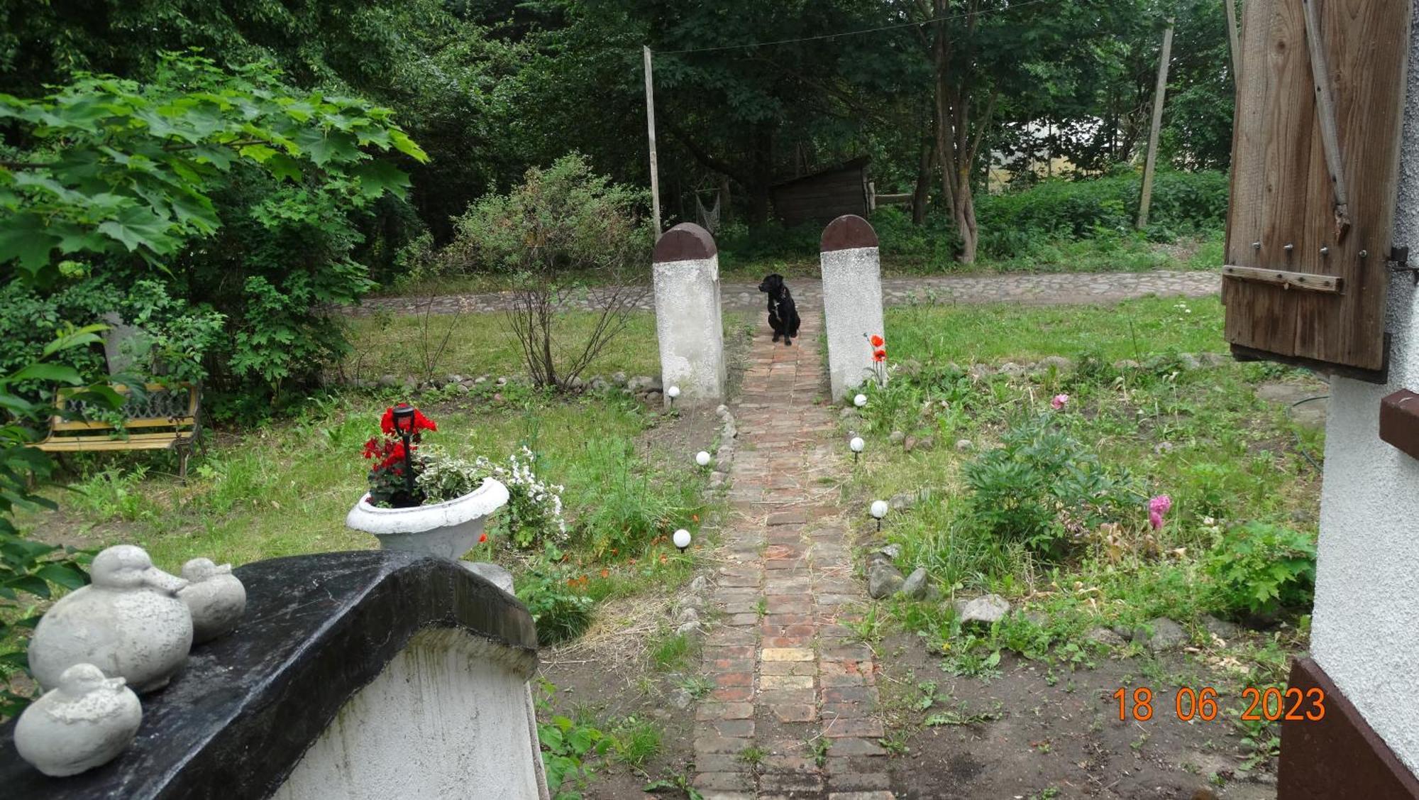Bed and Breakfast Dom Na Mazurach Pilec Екстер'єр фото