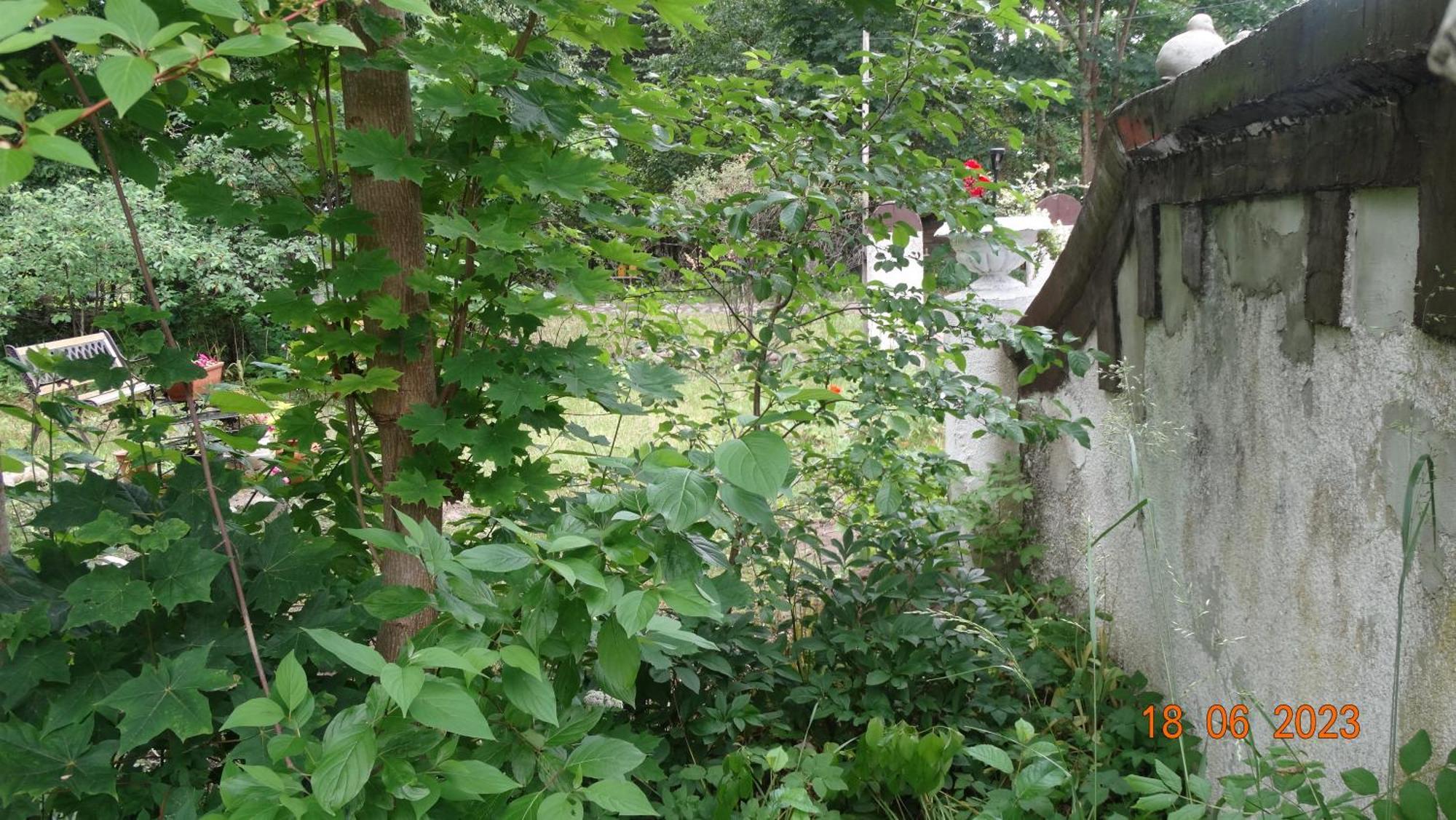 Bed and Breakfast Dom Na Mazurach Pilec Екстер'єр фото